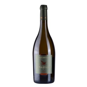 Chardonnay 2019 | Vinarija Zmajevac