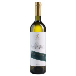 Sauvignon Blanc | Podrum Stari Hrast