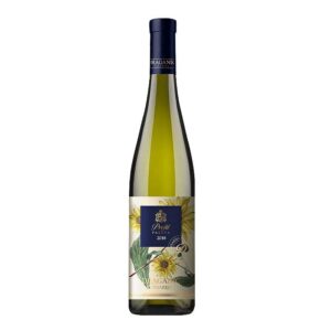 Vino Profil Palava | Vinarija Draganić