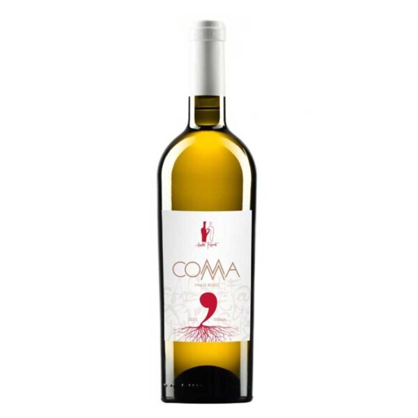 COMMA Pinot blanc | Vinarija Hadži Popović