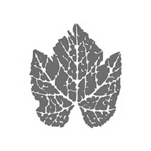 Vinarija Frunza Aglaja