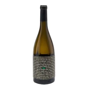 Saga | Vinarija Bjelica